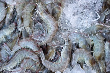 Too soft, fresh prawns for sale in the fish market at Thailand, seafood on ice, fresh shrimp seafood product, prawns abstract background