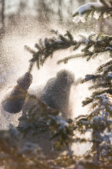 Closeup of a kid boy who pulls a tree branch with snow and snow falls on him. Boy having fun in the winter forest on a cold sunny day.
