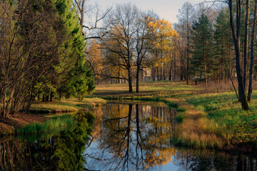 Fototapeta na wymiar Golden autumn in Catherine Park, Pushkin, St. Petersburg, Russia
