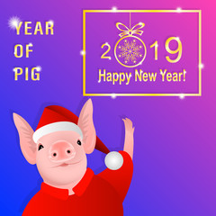 Year of Pig