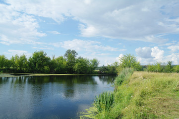 Obraz na płótnie Canvas river, land with trees and cloudy sky