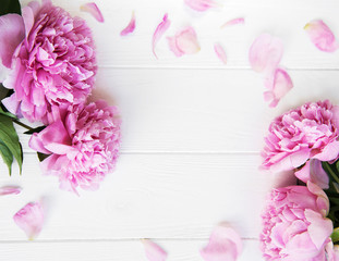 beautiful pink  peony flowers