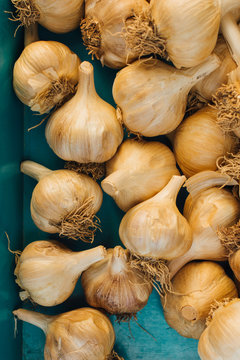 Smoked garlic bulbs