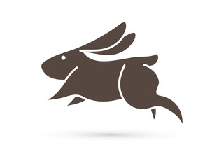 Rabbit jumping graphic vector