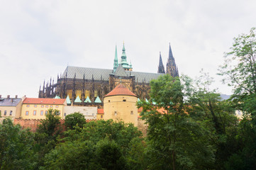 Fototapeta na wymiar St. Vitus Cathedral in Prague in the summer.