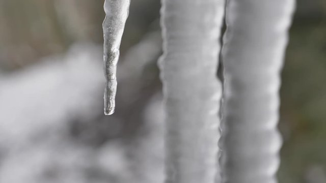 Water drop falling from an icicle in slow motion.