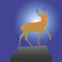 Mountain deer on the top of the hill, brown silhouette on the background of the night,