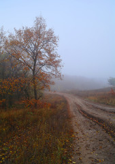 country road in autumn in the mist