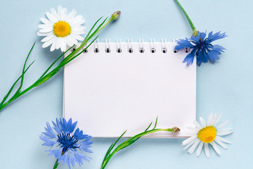 Spring, holiday background. Cornflowers, chamomile and space for text on a blue background. Copy space. Mockup. Flowers concept
