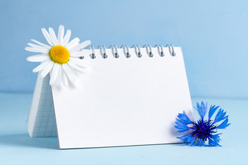 Spring, holiday background. Cornflowers, chamomile and space for text on a blue background. Copy space. Mockup. Flowers concept