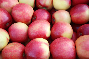 Closeup shot of fresh red and yellow apples