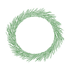 Green Christmas wreath of pine tree branch. Hand draw ink fir wreath.