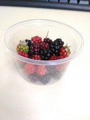 Blackberry