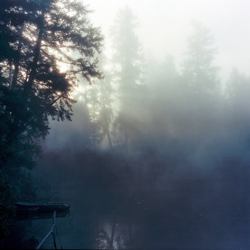 Foggy morning on Fletcher Bay