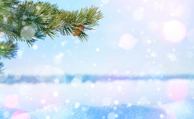 Fototapeta na wymiar Winter Christmas background. Winter background with pine branch and snowdrifts for cards and design.