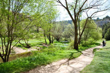 Pasear en plena naturaleza te llena de vida 