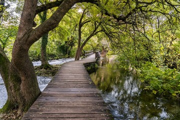 Fototapeta premium Chemin sentier en bois parc naturel Krka Croatie 