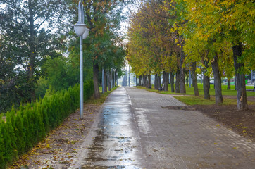 road in the autumn city park