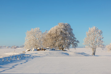 Winter landscape with snow and frost by an old stone age grave