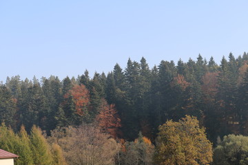 Fototapeta na wymiar Herbstlandschaft