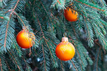 Orange balls on spruce, part of the Christmas tree with Christmas decorations