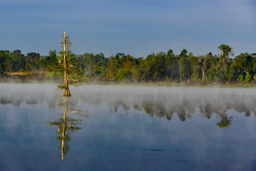 Dawn in Circle B Bar Reserve