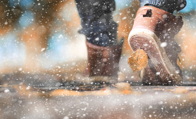 Autumn park in the first snow