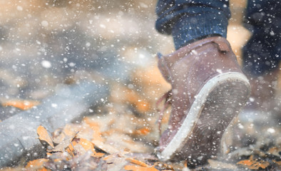 Autumn park in the first snow