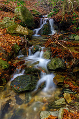 Fototapeta na wymiar stream flows down from the mountain in Santa fe del Montseny forest