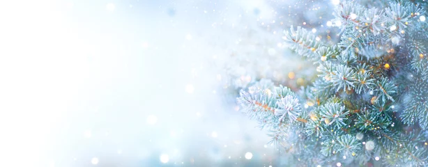 Keuken foto achterwand Winter Kerst vakantie boom. Grens sneeuw achtergrond. Sneeuwvlokken. Blauwe spar, mooie kerst en nieuwjaar kerstboom kunst design, abstracte blauwe breedbeeld achtergrond