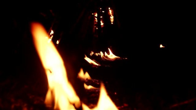 Man sets fire to firewood in night with special ritual of pyromania (fire as element of elements), forest fire. Arsonist, torch and criminal law
