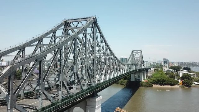 A cherry blossum tree and story bridge in brisbane