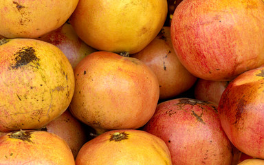 Group of pomegranates. Pomegranate closeup, background