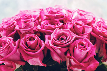 Bunch of pink roses