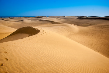 Fototapeta na wymiar The desert of Gran Canaria Maspalomas