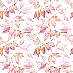 Floral seamless pattern of a autumn leaves.Euonymus .Image for fabric, paper and other printing and web projects.Watercolor hand drawn illustration.White background.