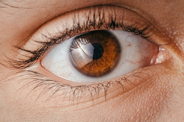 Naklejka premium La mirada de un ojo.