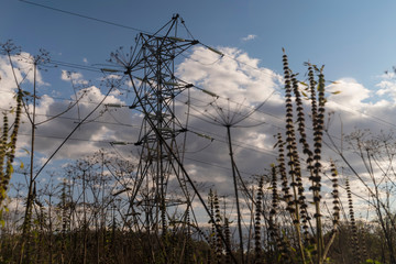 view of the meadow, a cloudy sky and a pillar of the power line