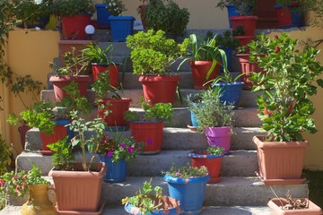 Various colorful plastic and ceramic flower pots with plants and blossom flowers at grey concrete stairs of a Greek house at the island of Meganisi near Lefkada at the ionian sea in the mediterranean