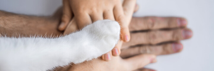 The hands of the family and the furry paw of the cat as a team. Fighting for animal rights, helping...