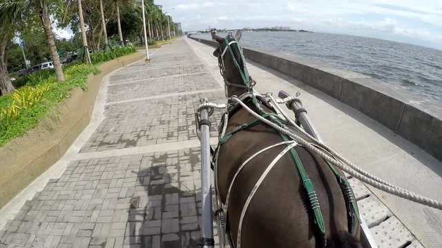 Coaching Horse cart moving on seaside walkway. Hand held camera