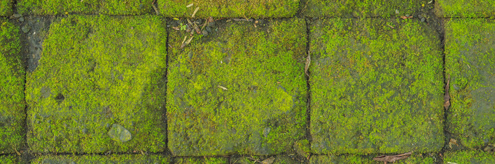 Roof tiles covered with greenery, Bali Indonesia BANNER, LONG FORMAT