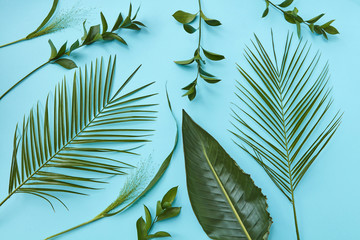 Creative concept a layout of green leaves