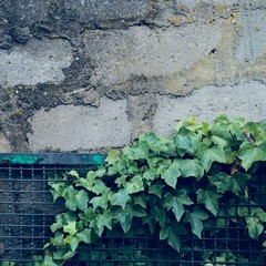 the colorful wall texture