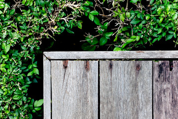 Top view corner of old wooden balcony with bush background.