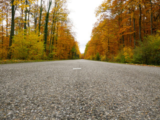Fototapeta premium Automne en Alsace