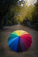 colorful umbrella in park in rainy day