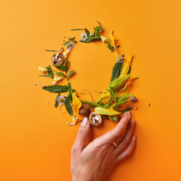 beautiful frame of flowers and leaves