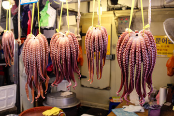 Raw Octopus at fishmarket