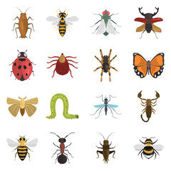 Different insects color vector icons set. Flat design